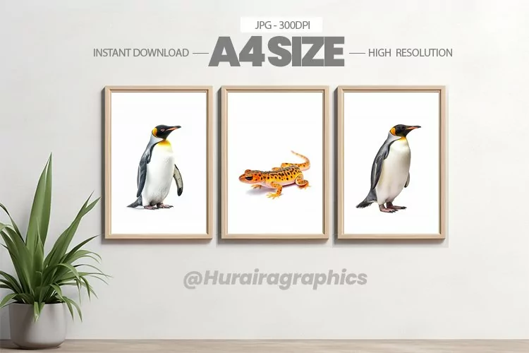 Animal Wall Art - 03 Variations
