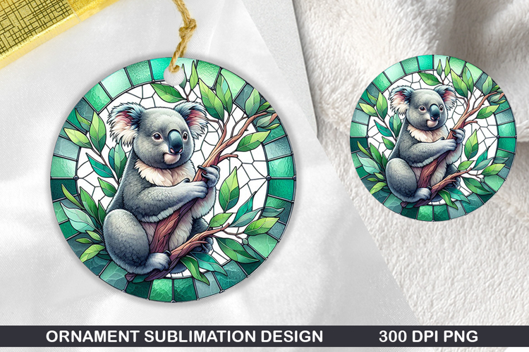 Cute Koala Pictures Image 16