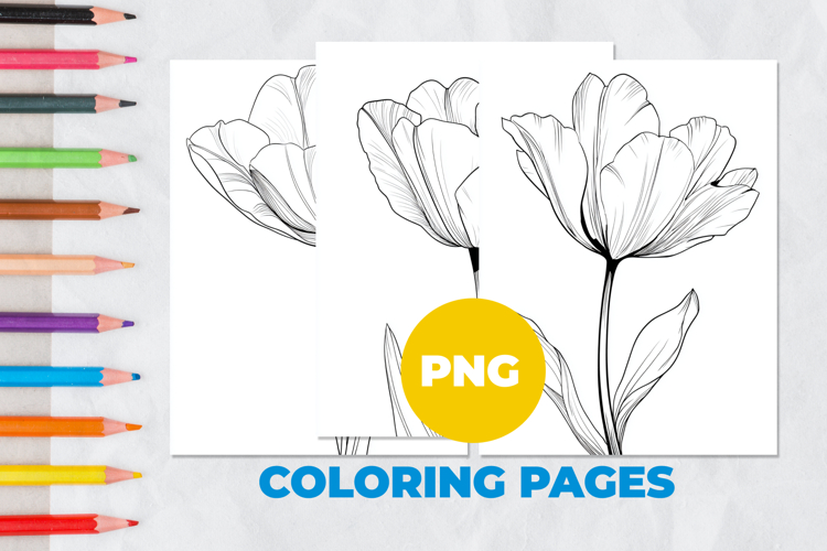 Tulip flower Coloring Pages | Coloring book
