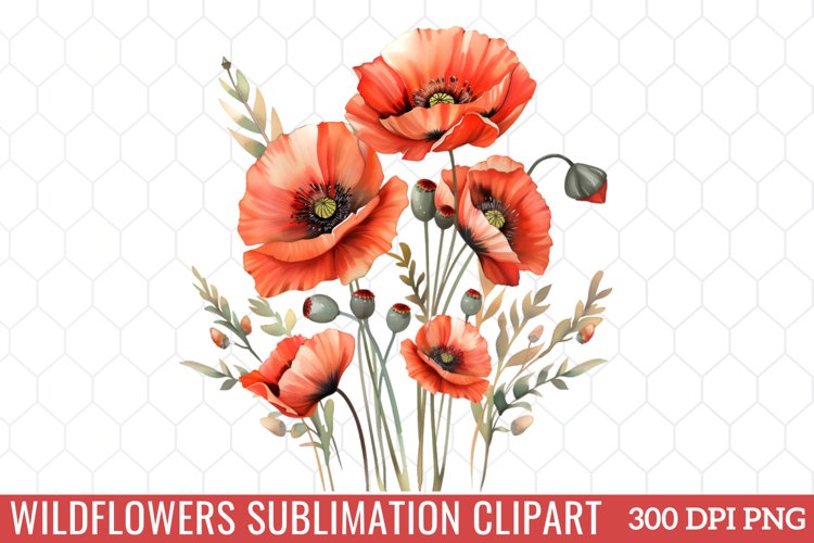 Spring Clipart Image 14