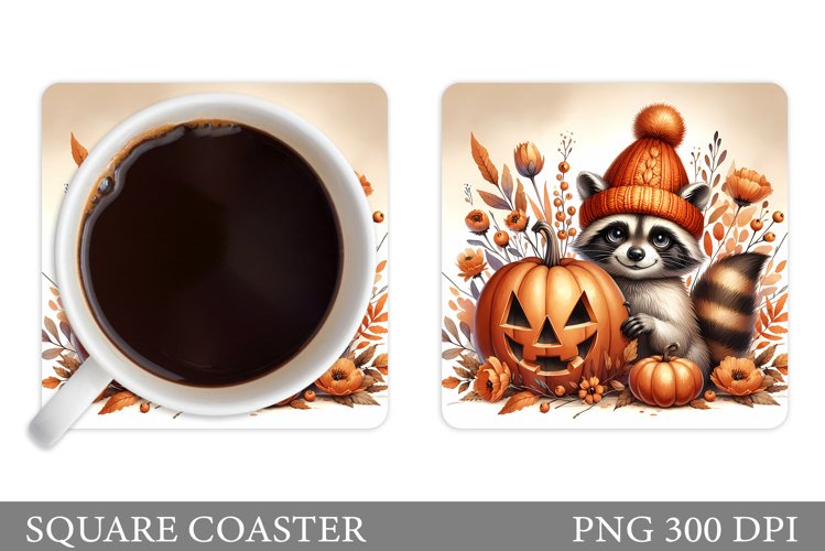 Raccoon Clipart Image 13