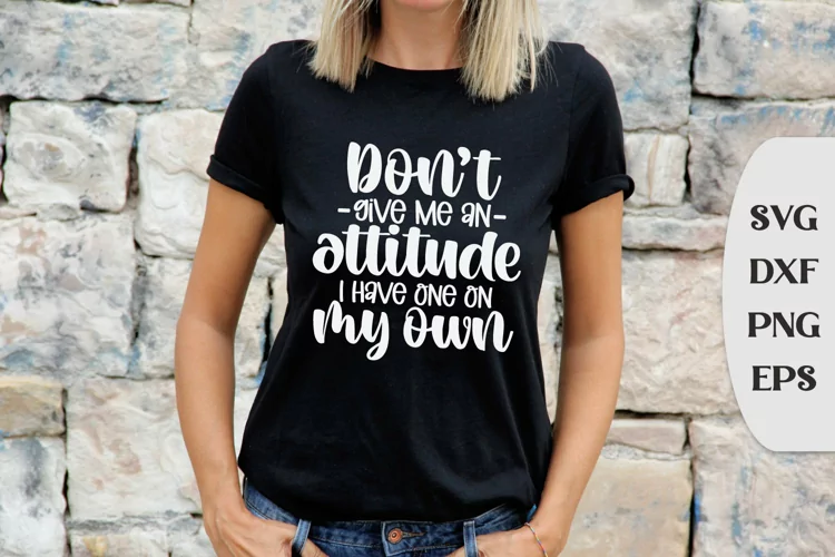 Don't Give ME An Attitude I Already Got one on my own