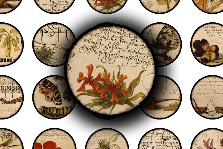 digital-collage-sheet-nature-illuminated for Free Printable Digital Collage Sheets Digital Collage Sheet - Nature Illuminated for Free Printable Digital Collage Sheets