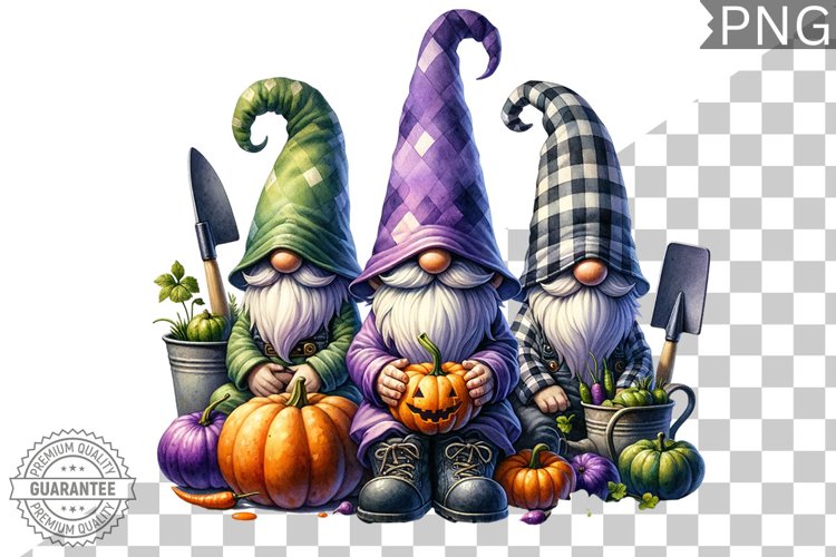 Gnome Clipart Image 9