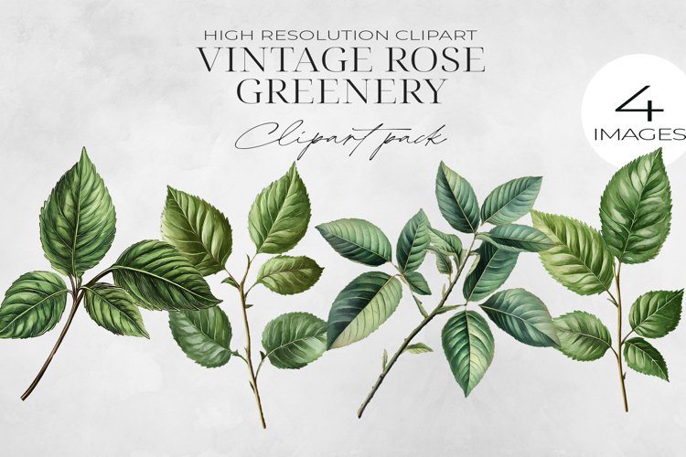 Vintage Pink Rose Flowers Clipart PNG.