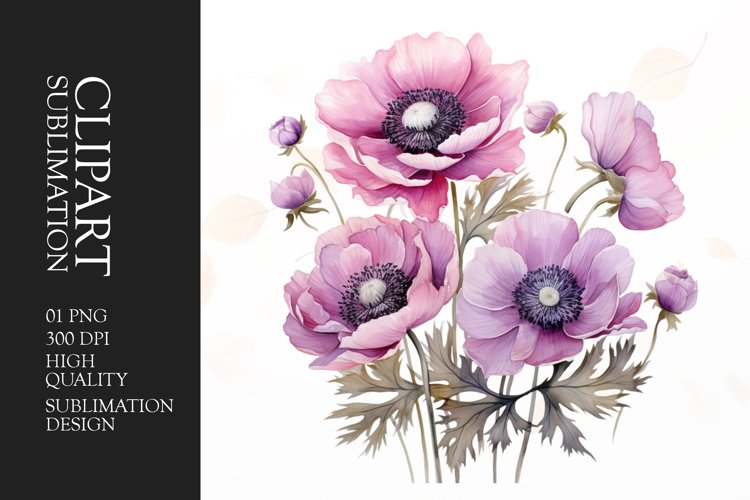 Watercolor anemones flower sublimation clipart