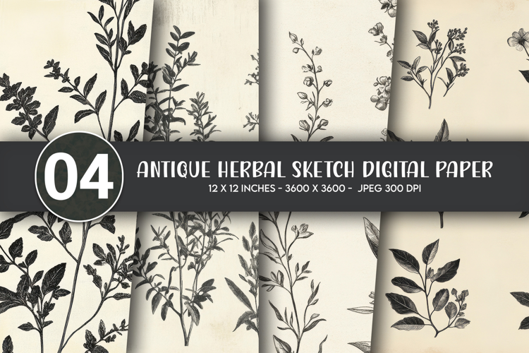Antique Herbal Sketch Digital Paper
