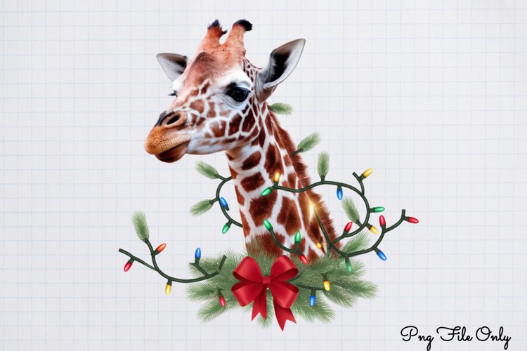 Boho Christmas Clipart Image 17