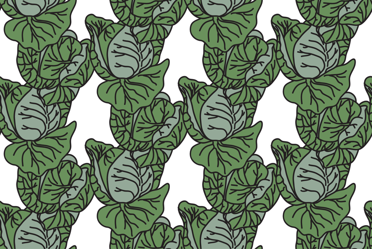 Botanical drawing green cabbages seamless pattern vector