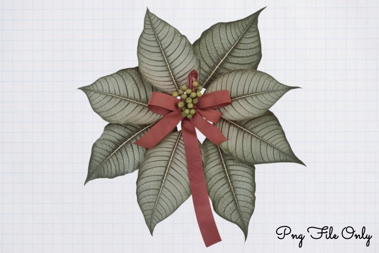 Olive Green Christmas Clipart example image 1
