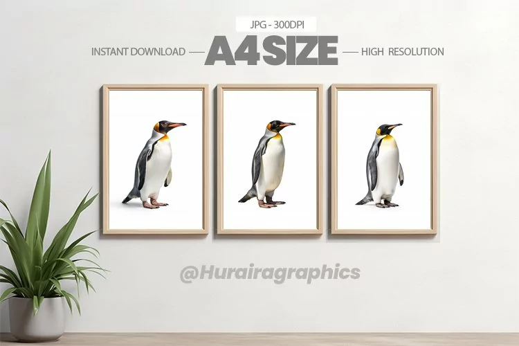 Animal Wall Art - 03 Variations