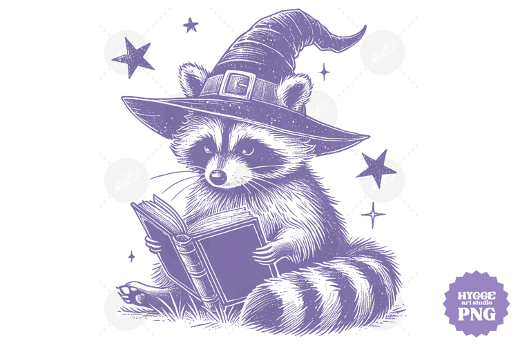 Vintage Funny Sarcastic Feral Witch Raccoon Halloween PNG