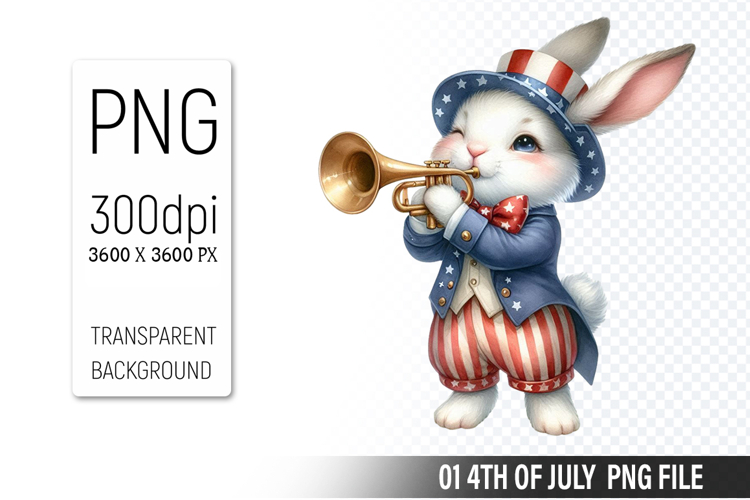 American Flag Png Image 16