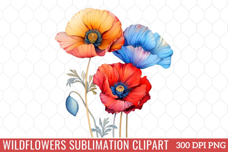 Wildflowers Sublimation Clipart