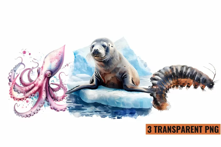 Watercolor Sea Animals Clipart , PNG