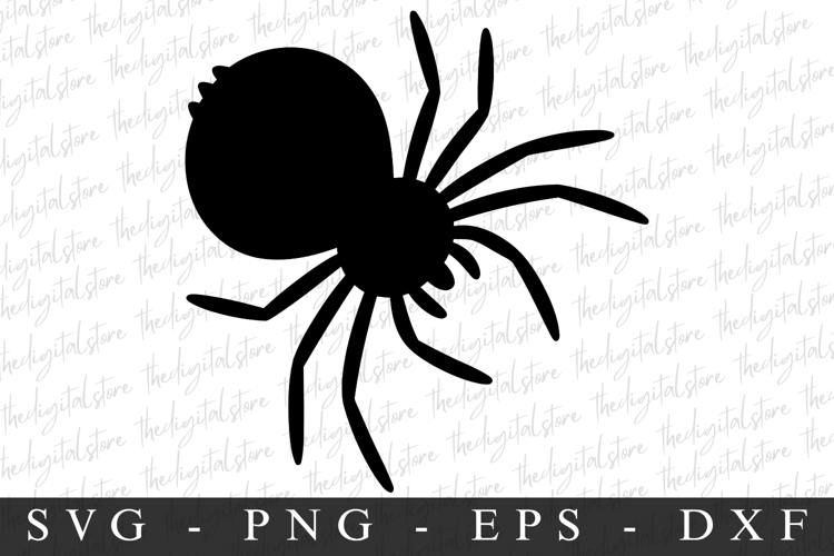 Spider Silhouette Image 11