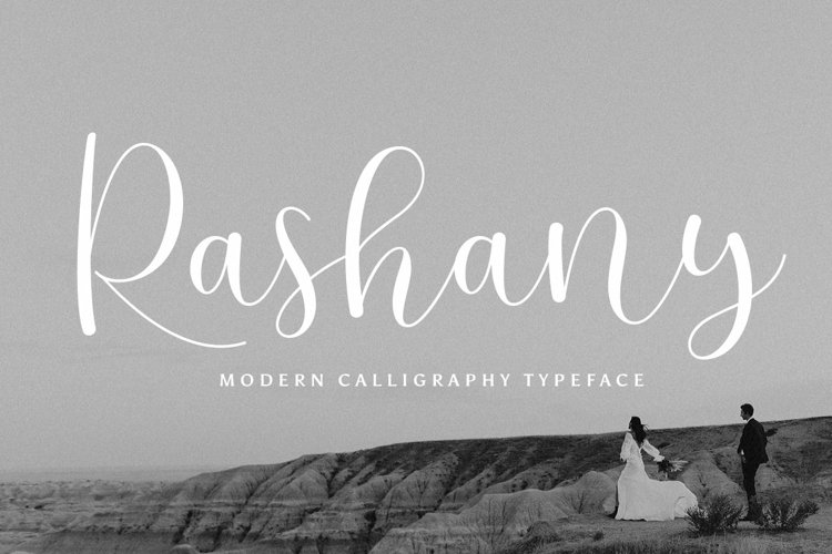 Rashany Modern Script Font example image 1