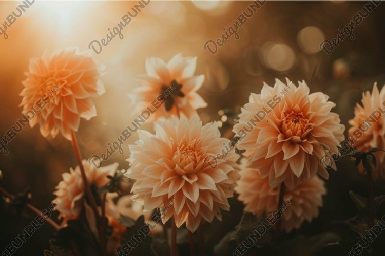 Sunset Clipart Image 18
