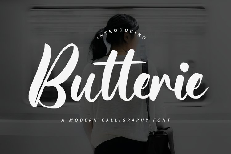 Calligraphy Font example image 1