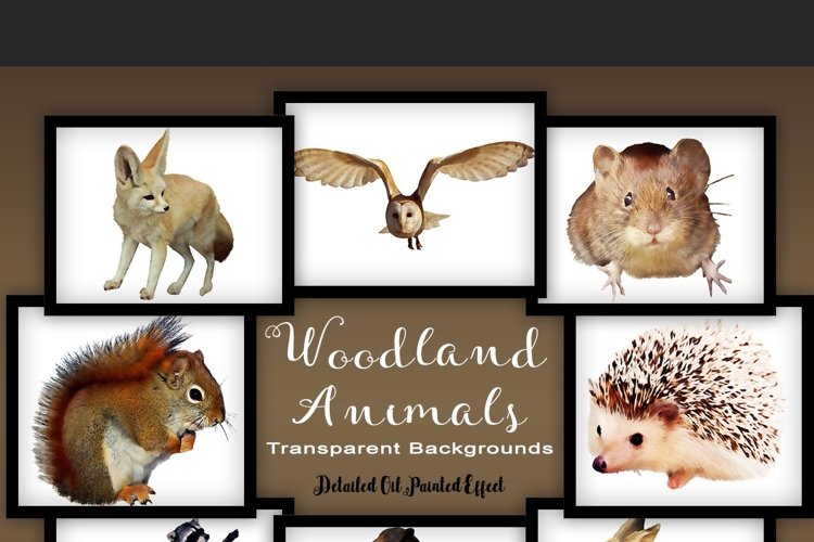 Woodland Animal Set V1 example image 1