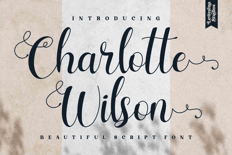 Charlotte Wilson - Beautiful Script Font example image 1