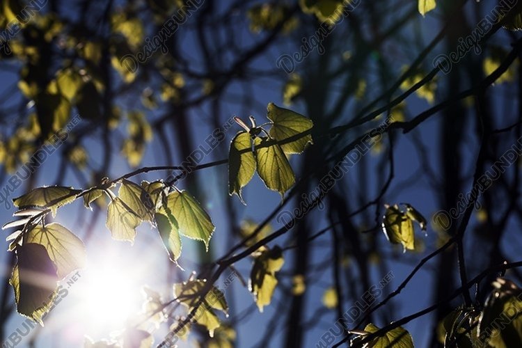 Sky Background Image 8