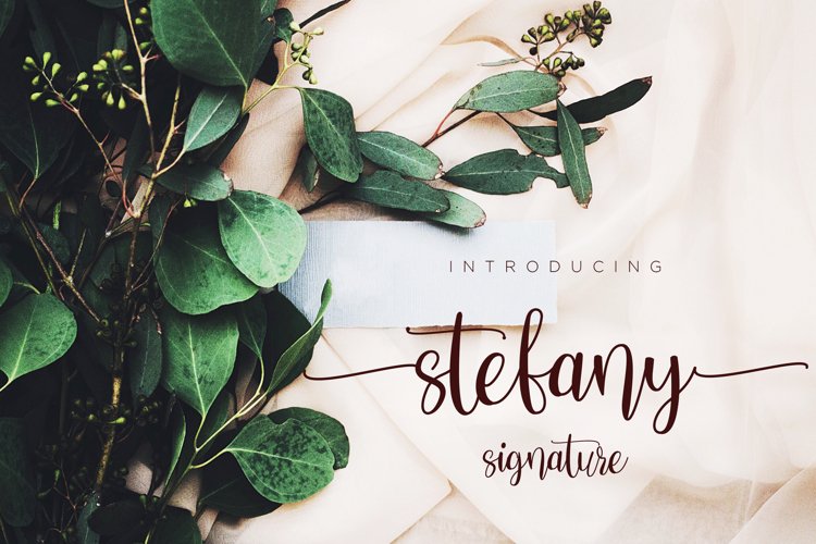 Stefany Signature font example image 1