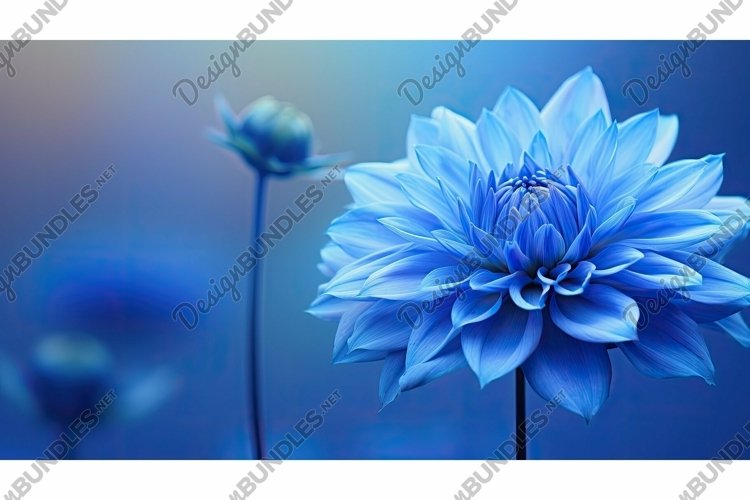 Blue Texture Image 14
