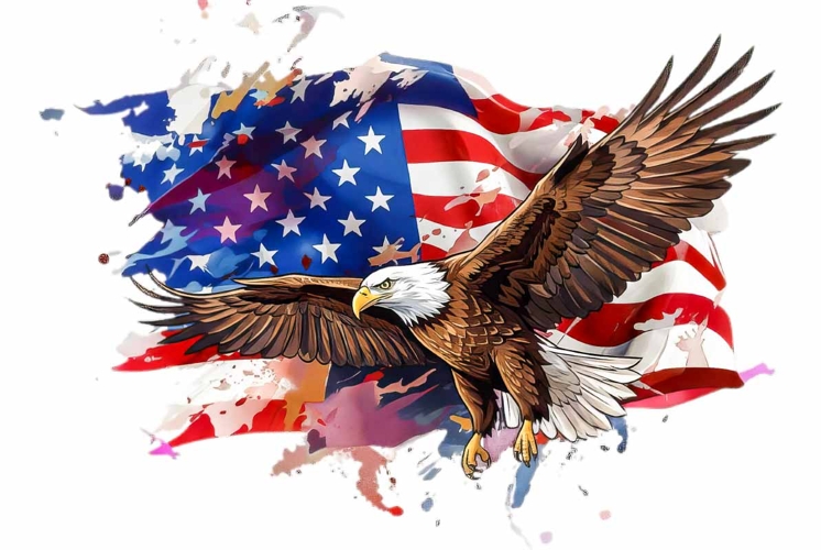 Eagle Flag 4TH JULY