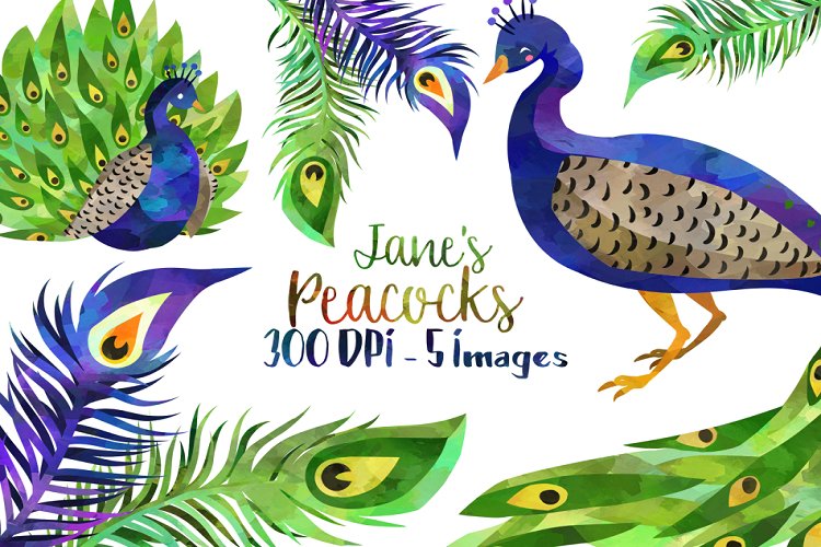 Feather Clipart Image 4