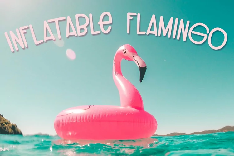 Funky Summer Vibe Handwritten Font - Inflatable Flamingo