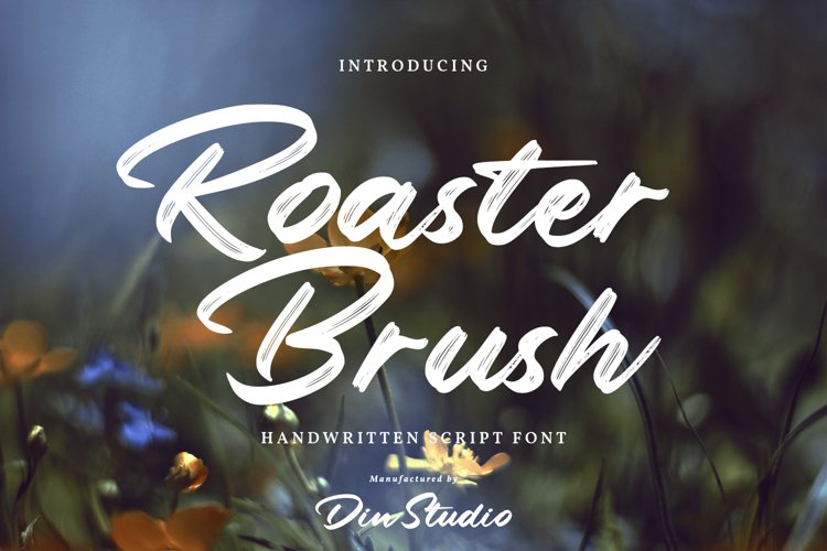 Roaster Brush-Elegant Handwritten Font example image 1