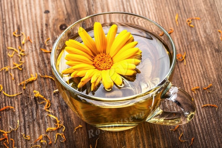 Marigold Clipart Image 21