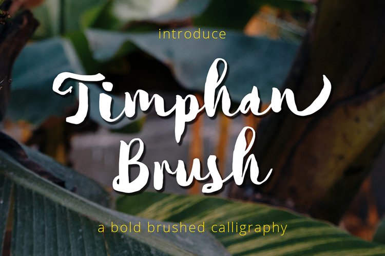 Timphan - A Fonts For Titles! example image 1