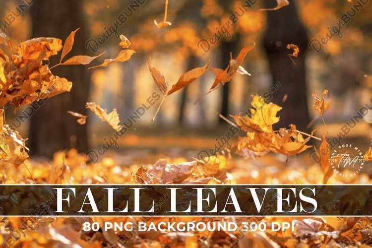 Overlays Fall Leaves example image 1