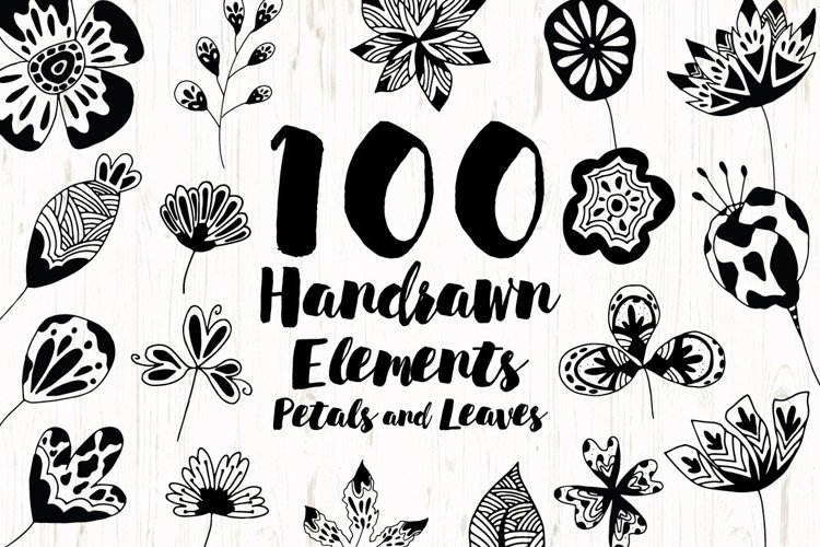 Hand Drawn Element Petals and Leaves