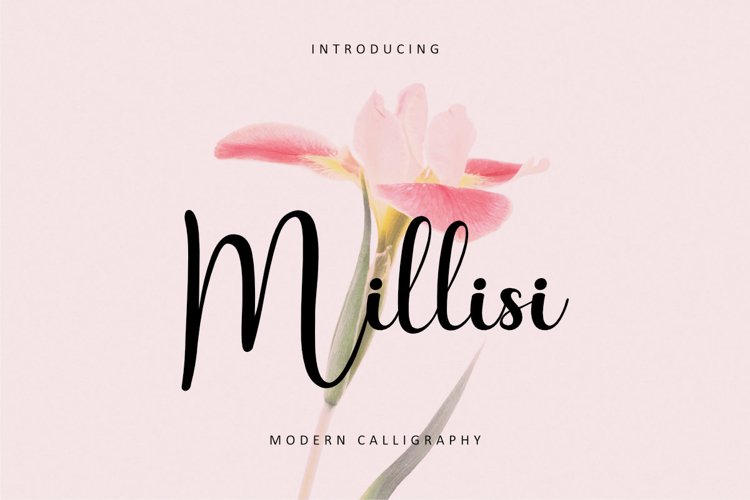 Millisi example image 1