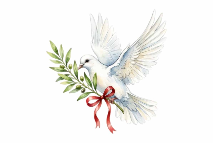 Watercolor white dove with olive branch Memorial Day Clipart