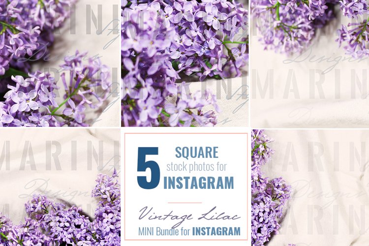 Square Feminine Styled Stock Photos for Instagram, 731
