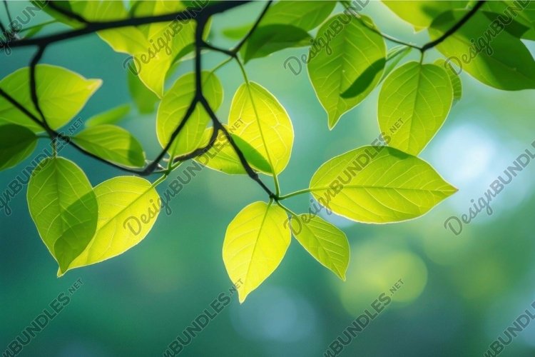 Green Nature Background Image 24