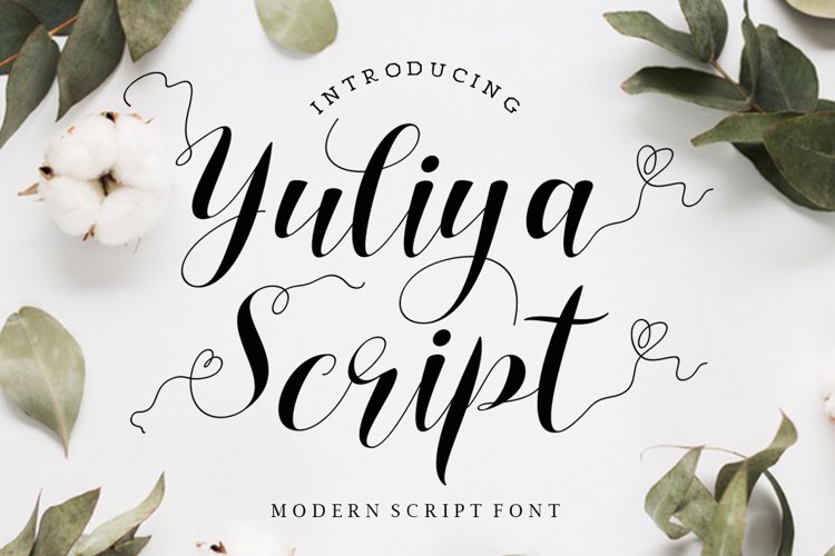 Yuliya Script example image 1