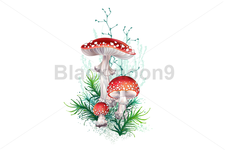 Fly agaric composition