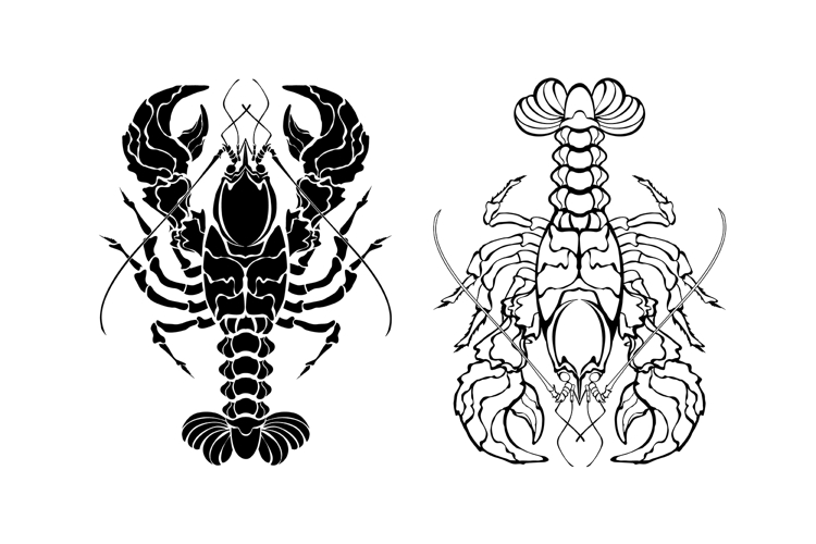 Two monochrome lobsters