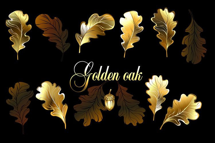 Set of golden oak leaves