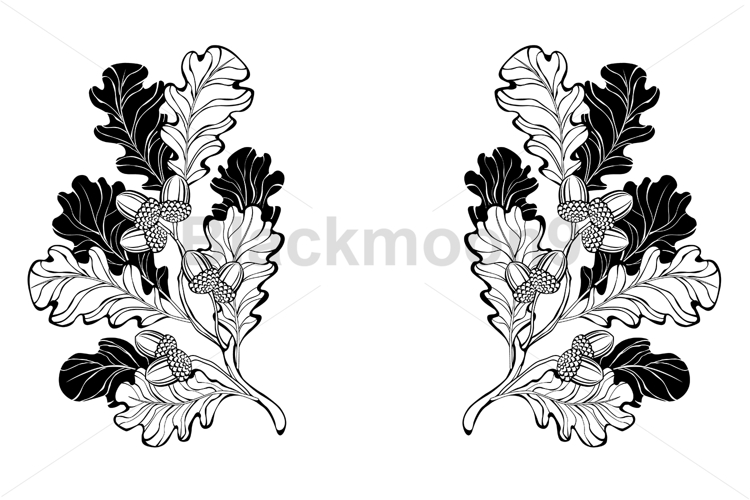 Contour oak branches