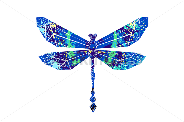 Colorful polygonal dragonfly