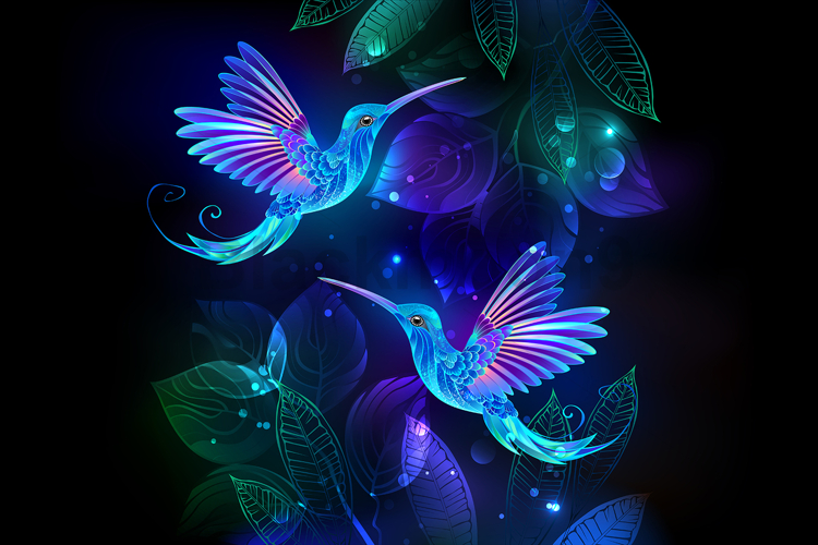 Glowing hummingbird