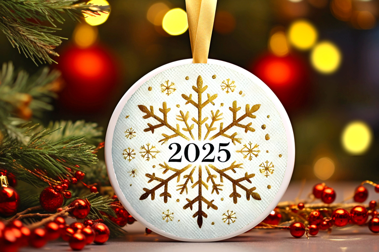 Ornament Png Image 14