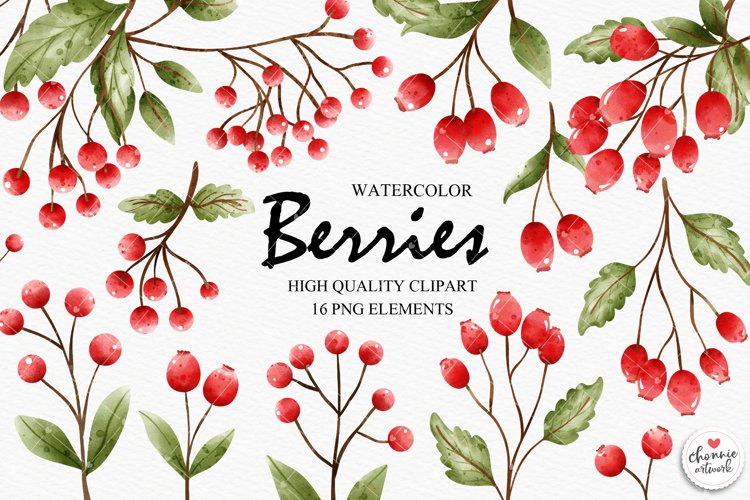 Fruit Clipart Image 24