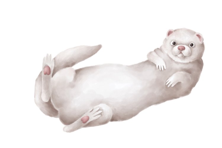 Ferret Clipart Image 15